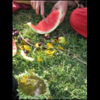 20090531063501.jpg